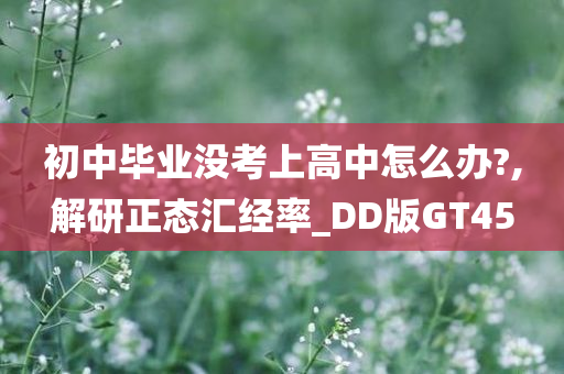 初中毕业没考上高中怎么办?,解研正态汇经率_DD版GT45