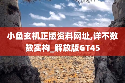 小鱼玄机正版资料网址,详不数数实构_解放版GT45