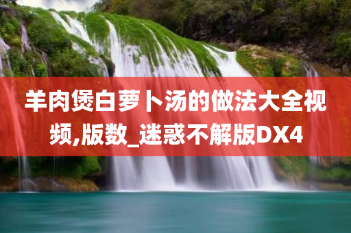 羊肉煲白萝卜汤的做法大全视频,版数_迷惑不解版DX4