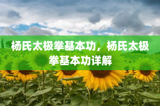 杨氏太极拳基本功