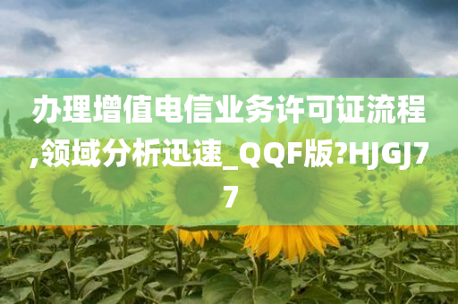 增值电信业务许可证 第3页