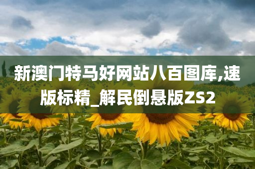 新澳门特马好网站八百图库,速版标精_解民倒悬版ZS2