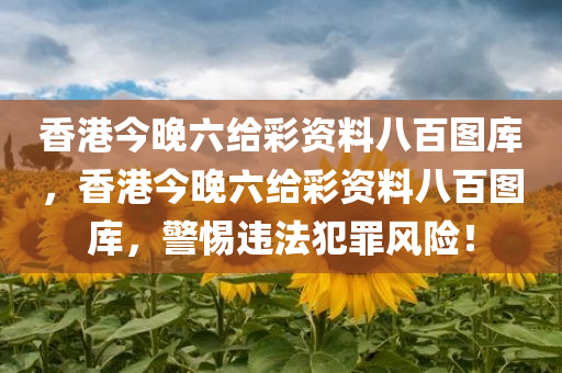 香港今晚六给彩资料八百图库