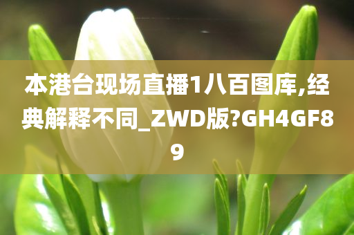 本港台现场直播1八百图库,经典解释不同_ZWD版?GH4GF89