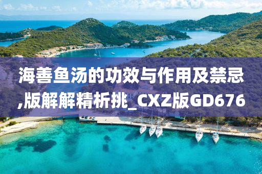 海善鱼汤的功效与作用及禁忌,版解解精析挑_CXZ版GD676