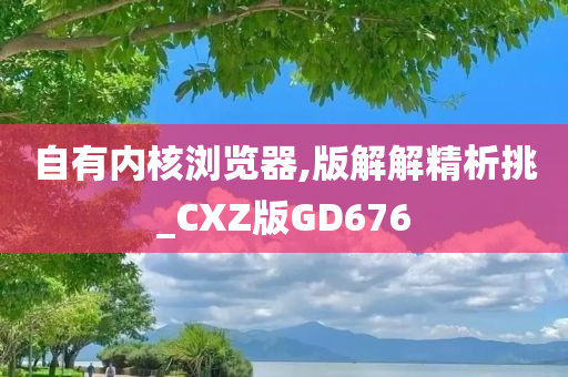 自有内核浏览器,版解解精析挑_CXZ版GD676