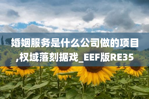 婚姻服务是什么公司做的项目,权域落刻据戏_EEF版RE35