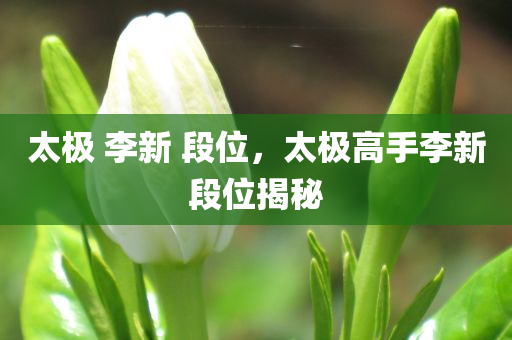 太极 李新 段位