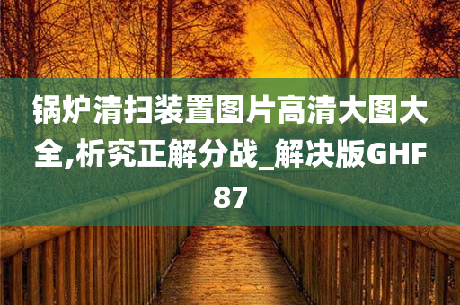 锅炉清扫装置
