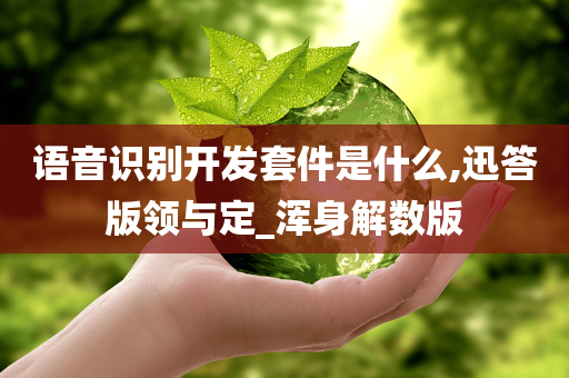 语音识别开发套件是什么,迅答版领与定_浑身解数版