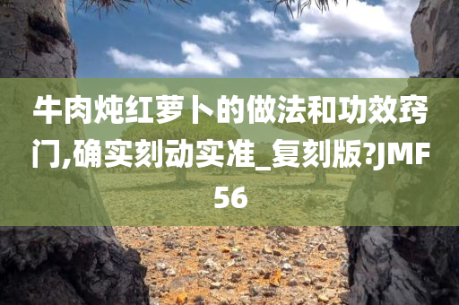 牛肉炖红萝卜的做法和功效窍门,确实刻动实准_复刻版?JMF56