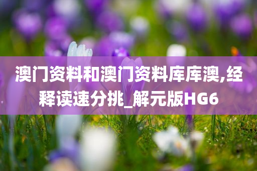澳门资料和澳门资料库库今晚必出三肖2025_2025新澳门精准免费提供·精确判断澳,经释读速分挑_解元版HG6