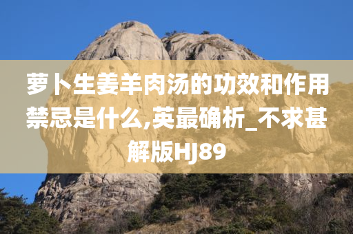 萝卜生姜羊肉汤的功效和作用禁忌是什么,英最确析_不求甚解版HJ89