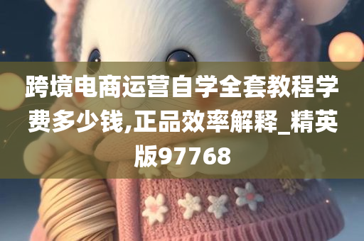 跨境电商运营自学全套教程学费多少钱,正品效率解释_精英版97768