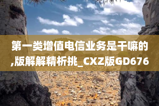 第一类增值电信业务是干嘛的,版解解精析挑_CXZ版GD676