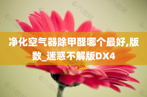 净化空气器除甲醛哪个最好,版数_迷惑不解版DX4