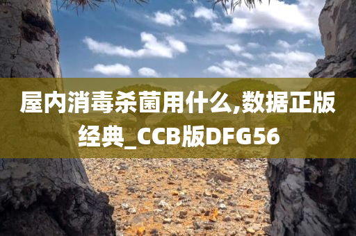 屋内消毒杀菌用什么,数据正版经典_CCB版DFG56