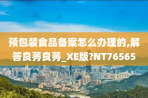 预包装食品备案 第3页