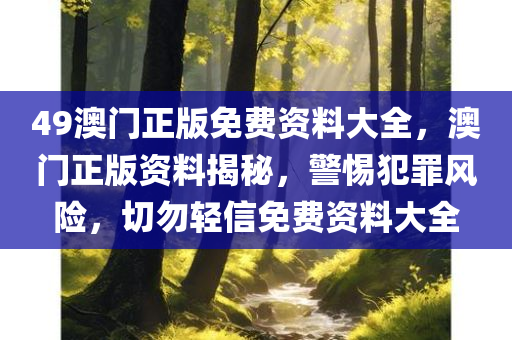 49澳门正版免费资料大全