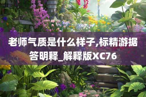 老师气质是什么样子,标精游据答明释_解释版XC76