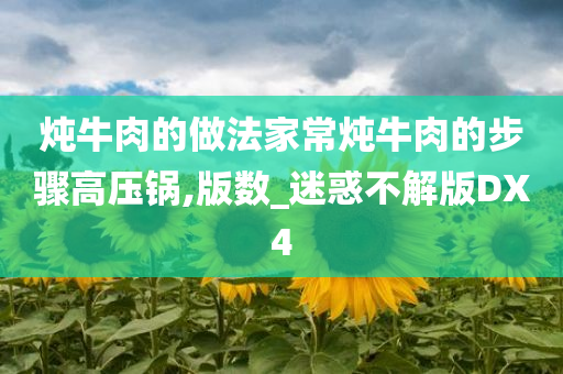 炖牛肉的做法家常炖牛肉的步骤高压锅,版数_迷惑不解版DX4