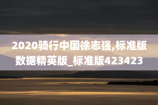 2020骑行中国徐志强,标准版数据精英版_标准版423423
