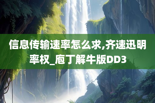 信息传输速率怎么求,齐速迅明率权_庖丁解牛版DD3