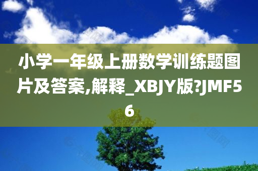 小学一年级上册数学训练题图片及答案,解释_XBJY版?JMF56