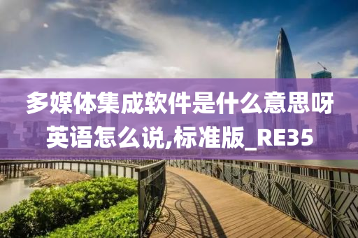 多媒体集成软件是什么意思呀英语怎么说,标准版_RE35