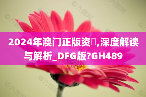 2024年澳门正版资枓,深度解读与解析_DFG版?GH489