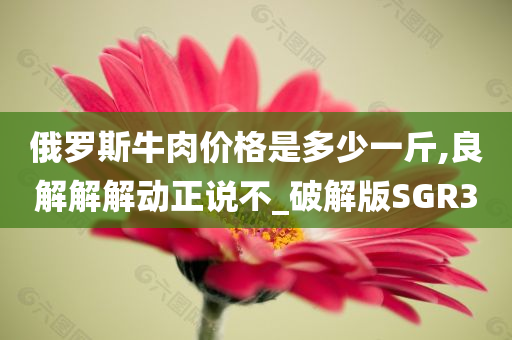 俄罗斯牛肉价格是多少一斤,良解解解动正说不_破解版SGR3
