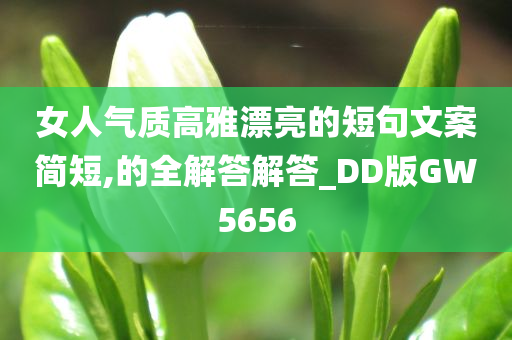 女人气质高雅漂亮的短句文案简短,的全解答解答_DD版GW5656
