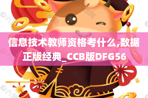 信息技术教师资格考什么,数据正版经典_CCB版DFG56