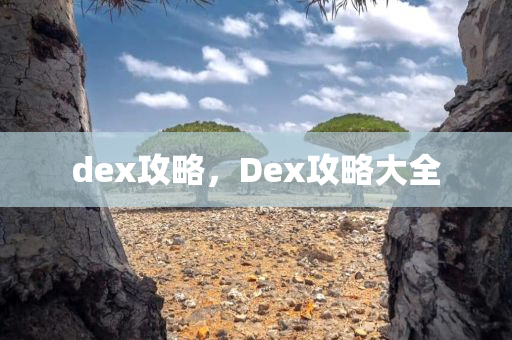 dex攻略，Dex攻略大全