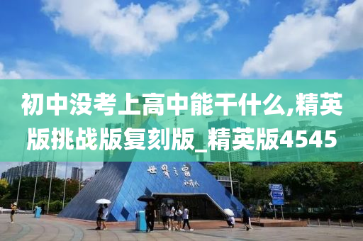 初中没考上高中能干什么,精英版挑战版复刻版_精英版4545