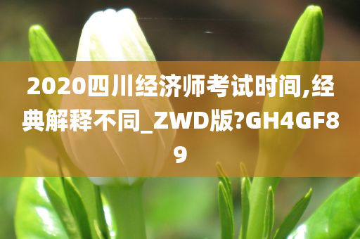 2020四川经济师考试时间,经典解释不同_ZWD版?GH4GF89