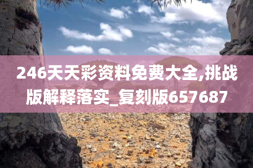 246天天彩资料免费大全,挑战版解释落实_复刻版657687