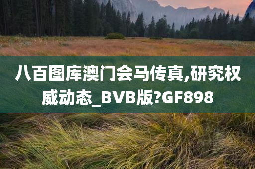 八百图库澳门会马传真,研究权威动态_BVB版?GF898