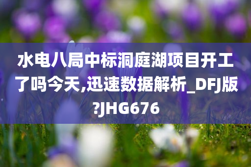 水电八局中标洞庭湖项目开工了吗今天,迅速数据解析_DFJ版?JHG676