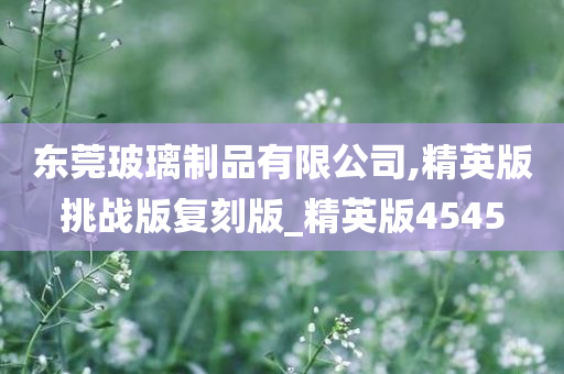 东莞玻璃制品有限公司,精英版挑战版复刻版_精英版4545