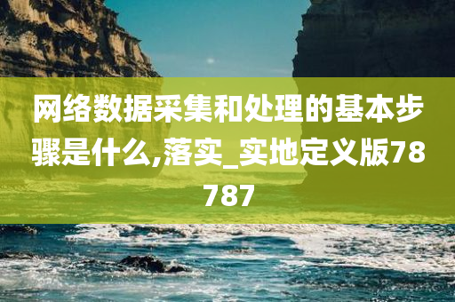网络数据采集和处理的基本步骤是什么,落实_实地定义版78787