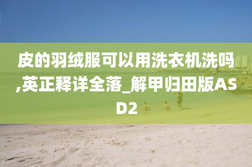 皮的羽绒服可以用洗衣机洗吗,英正释详全落_解甲归田版ASD2