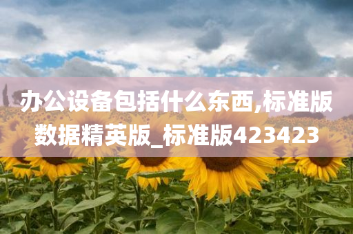 办公设备包括什么东西,标准版数据精英版_标准版423423