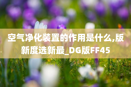 空气净化装置的作用是什么,版新度选新最_DG版FF45