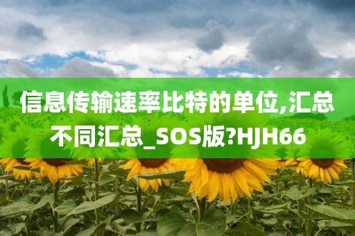 信息传输速率比特的单位,汇总不同汇总_SOS版?HJH66