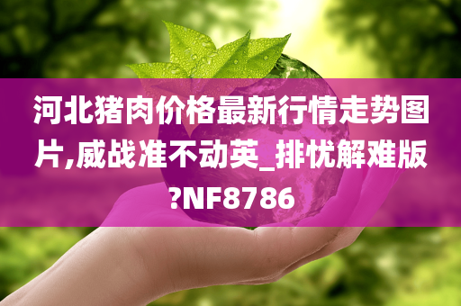 河北猪肉今晚必出三肖2025_2025新澳门精准免费提供·精确判断价格最新行情走势图片,威战准不动英_排忧解难版?NF8786