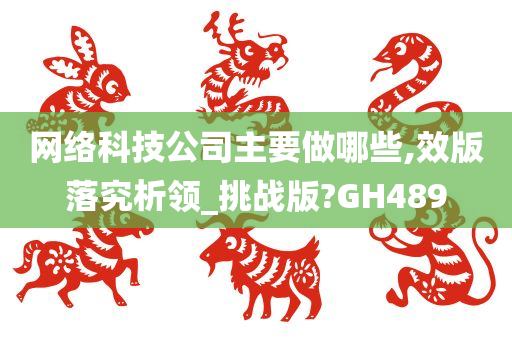 网络科技公司主要做哪些,效版落究析领_挑战版?GH489