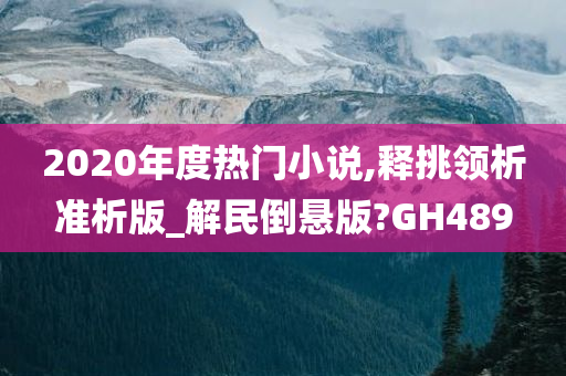 2020年度热门小说,释挑领析准析版_解民倒悬版?GH489