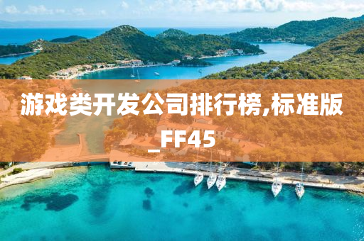 游戏类开发公司排行榜,标准版_FF45