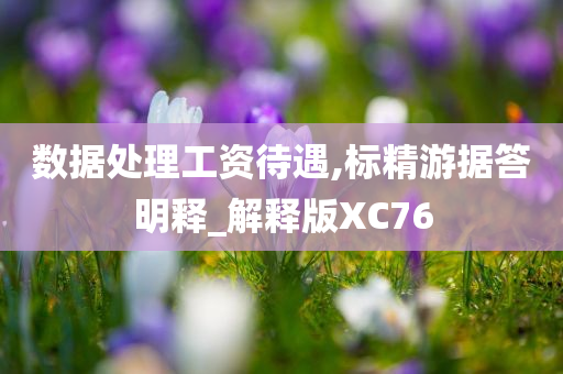 数据处理工资待遇,标精游据答明释_解释版XC76